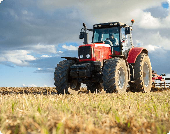 Imagem Força do Campo Bradesco